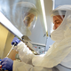 Illustration for article titled Is Congress About to Reduce Funding for Bioterrorism Vaccines?